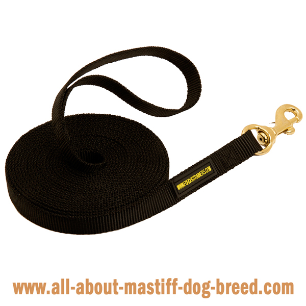 Reliable tracking nylon Mastiff leash