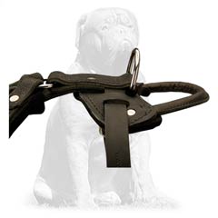 Mastiff harness for super control with soft handle