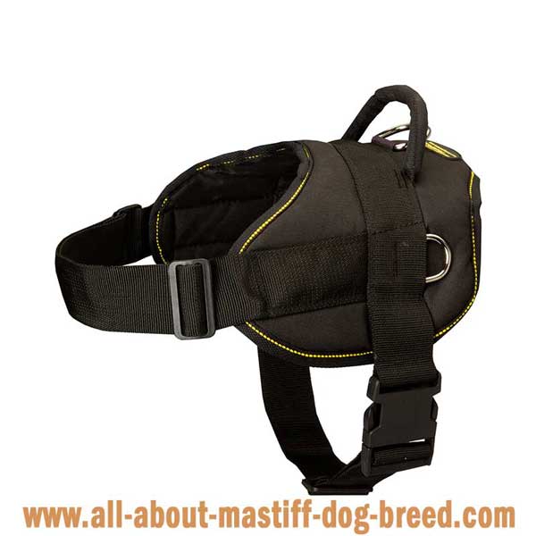 Lightweight Pyrenenan Mastiff harness with additional D-rings