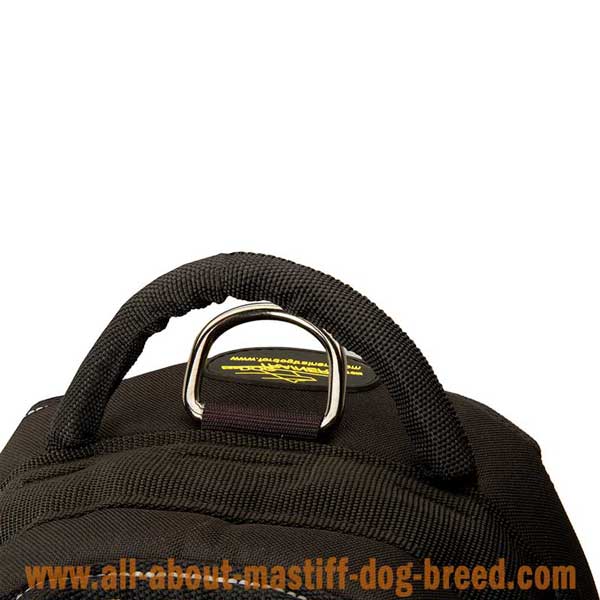 Easy adjustable Pyrenean Mastiff harness with D-ring for leash attachment