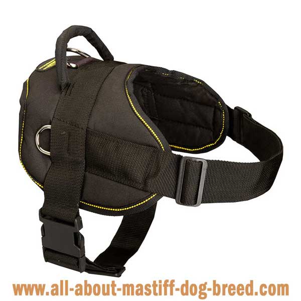 Super lightweight nylon harness with additional D-rings for Spanish Mastiff