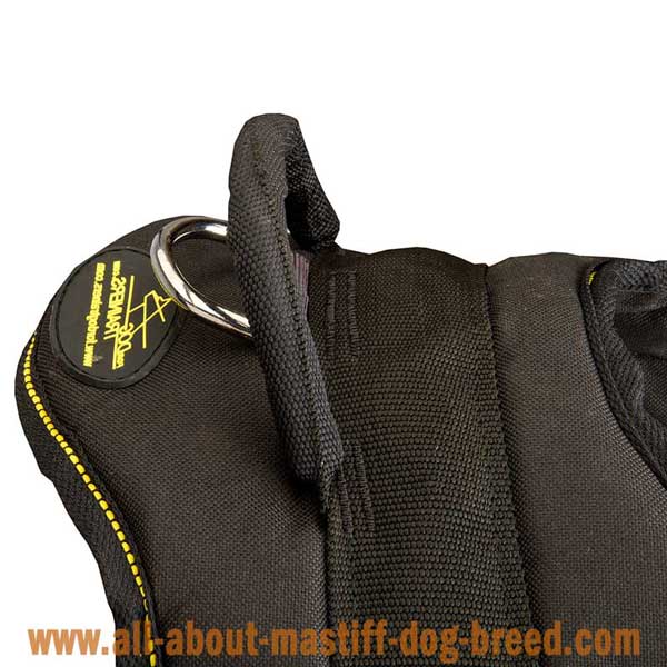 Practical harness for Spanish Mastiff with be-in-control handle
