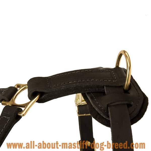 Tibetan Mastiff Dog Harness Leather Equipped with Strong  Brass Hardware