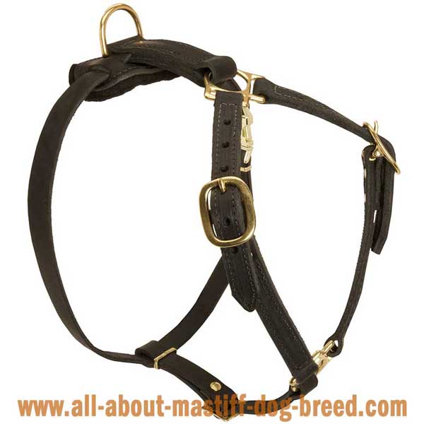 Tibetan Mastiff Dog Harness Leather with 4 Adjustable Straps