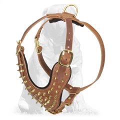 Leather Mastiff Fashion Harness for Walking and Exercising
