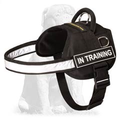 Lightweight Reflective Nylon K9 Mastiff Harness