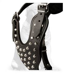 Leather dog harness with wide Y-shape chest plate