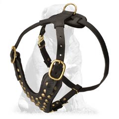 Mastiff harness with unique adjustment system