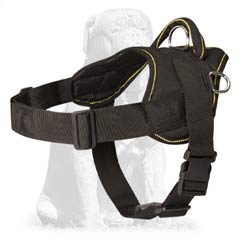 Highest quality Mastiff harness