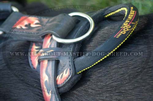 Professional Training Dog Harness for Mastiff