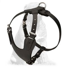 Protection Mastiff Harness For Attack Training