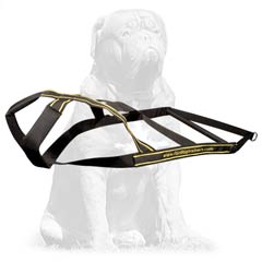 Nylon Mastiff harness for cargo pulling