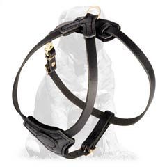 Lightweight Designer Mastiff Harness