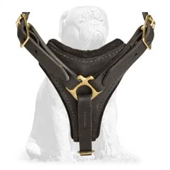 Full Genuine Leather Walking Harness For Mastiff