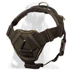 Nylon harness for Mastiff breed