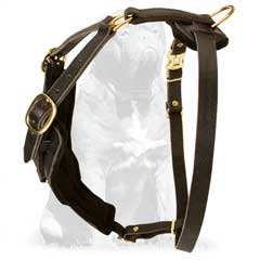 Designer Leather Dog Harness for Mastiff