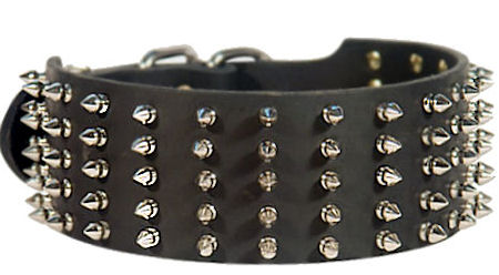 Rich Spiked Leather Dog Collar for Mastiff
