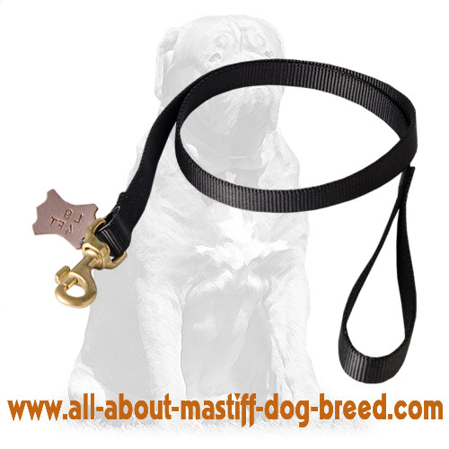 6FT Deluxe Nylon Lead with Swivel Snap for Mastiff
