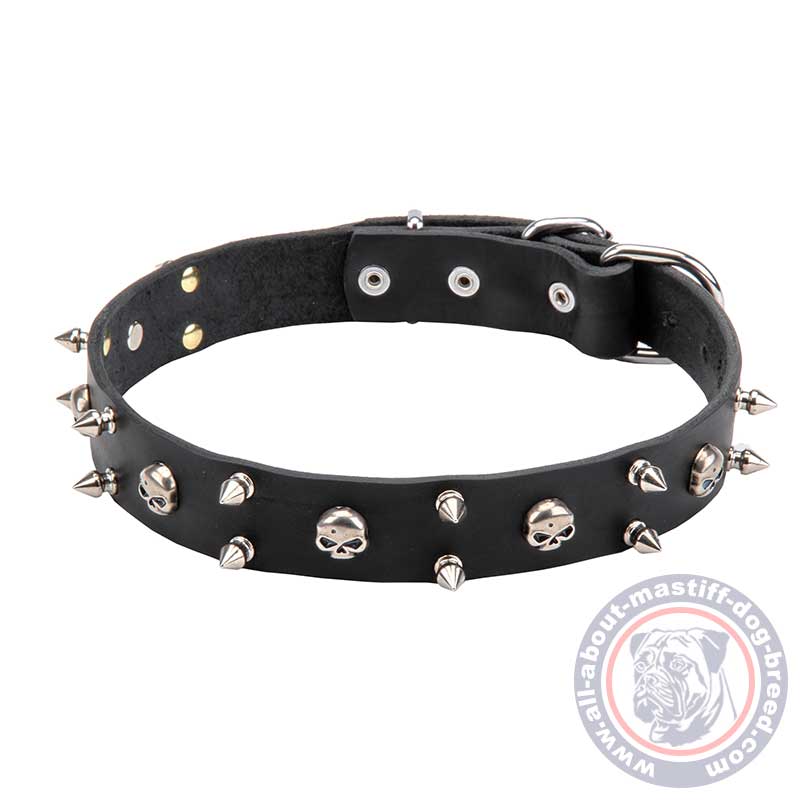 Mastiff Leather Dog Collar with Skulls and 2 Rows of Spikes 30mm wide