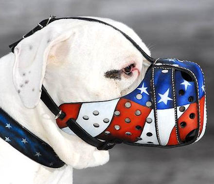 Mastiff Leather Muzzle American Flag Painting
