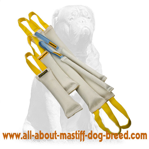 Durable Fire Hose Bite Tugs - Training Set