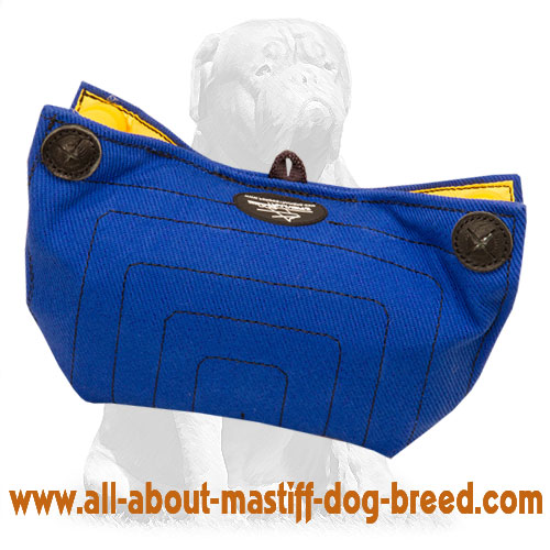 Puppy and Young Dog Bite Builder - Click Image to Close