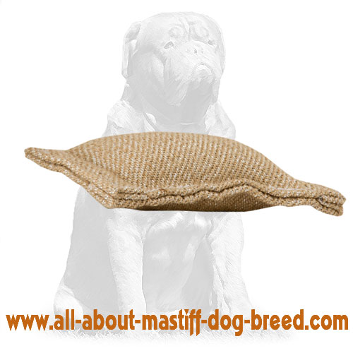 Mastiff Puppy Jute Bite Tug Without Handles