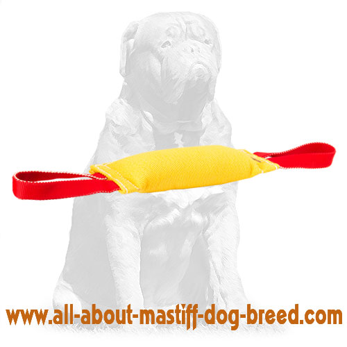 Mastiff Sturdy French Linen Dog Bite Tug