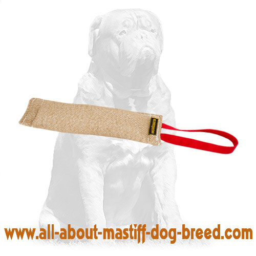 Mastiff Durable Jute Bite Tug