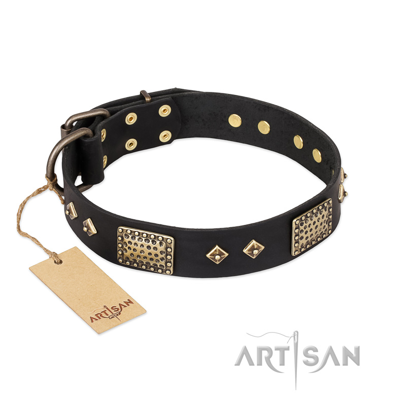 'Jewel Passion' FDT Artisan Fashionable Black Leather Mastiff Dog Collar