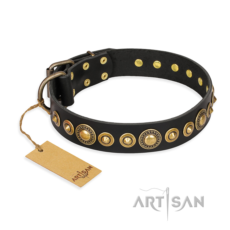 'Gold Mine' FDT Artisan Black Leather Mastiff Collar with Sparkling Bronze-Plated Round Studs
