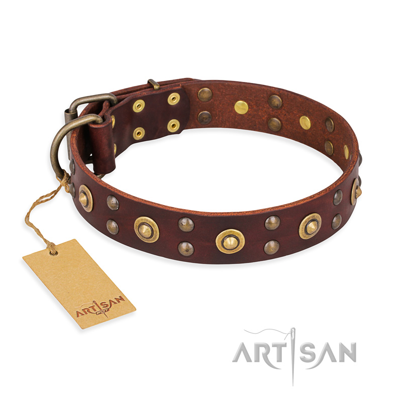 'Caprice of Fashion' FDT Artisan Mastiff Brown Leather Dog Collar with Round Decorations