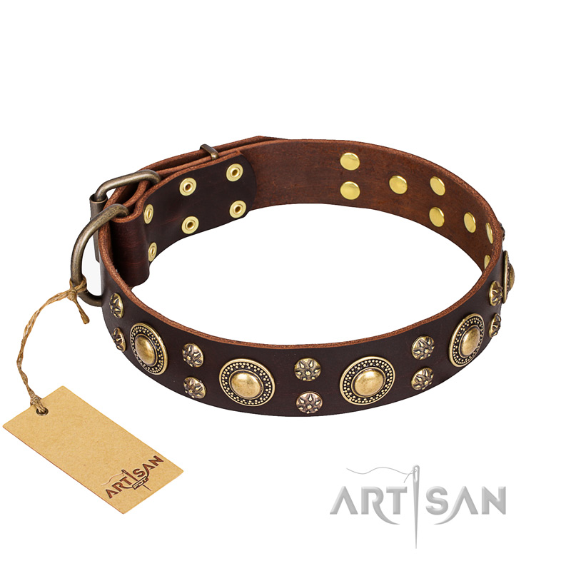 'Flower Melody' FDT Artisan Brown Leather Dog Collar with Mixed Studs for Mastiff Daily Walking - Click Image to Close
