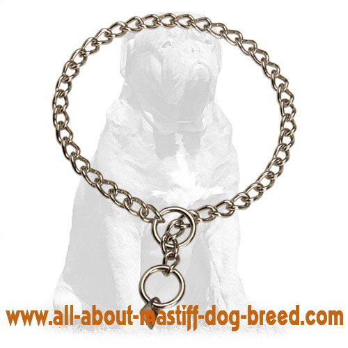 Mastiff Stainless Steel Choke Dog Collar with Quality Label 1/9 inch (3 mm)