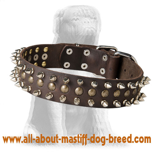 Excellent Spiked and Studded Mastiff Leather Collar