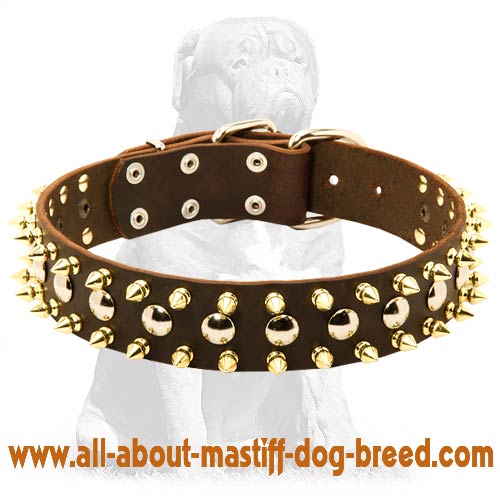 Brown Leather Spiked Studded Dog Collar for Mastiff
