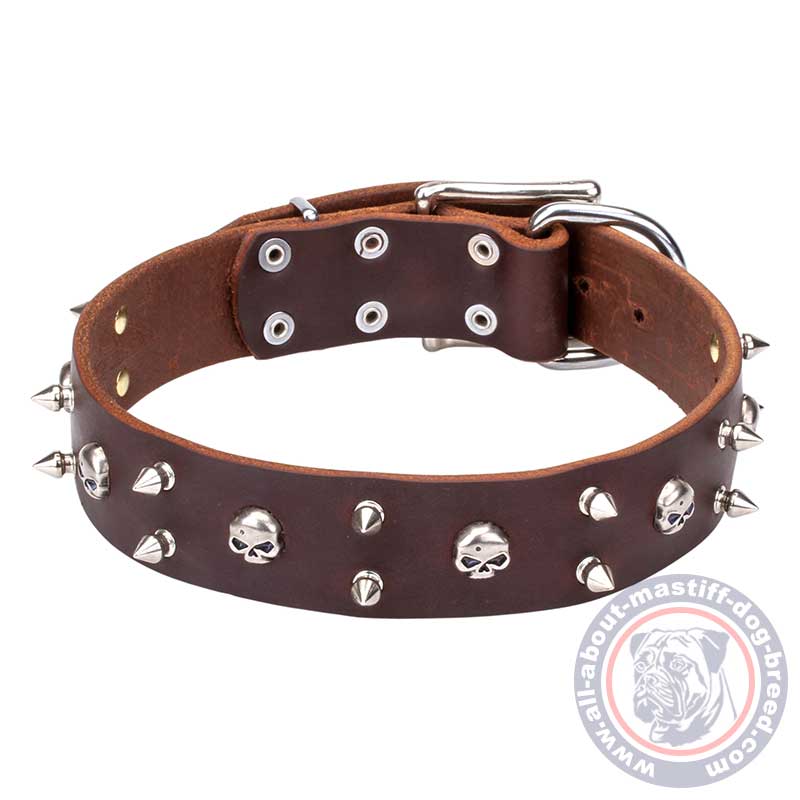 Cool Mastiff Leather Dog Collar with Nickel Plated Spikes and Skulls