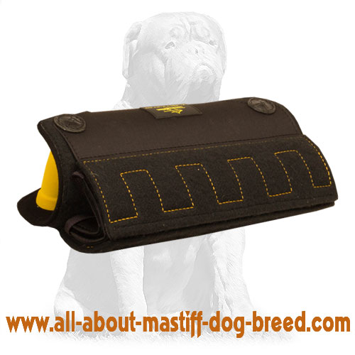 Mastiff Puppy and Young Dog Bite X-Builder