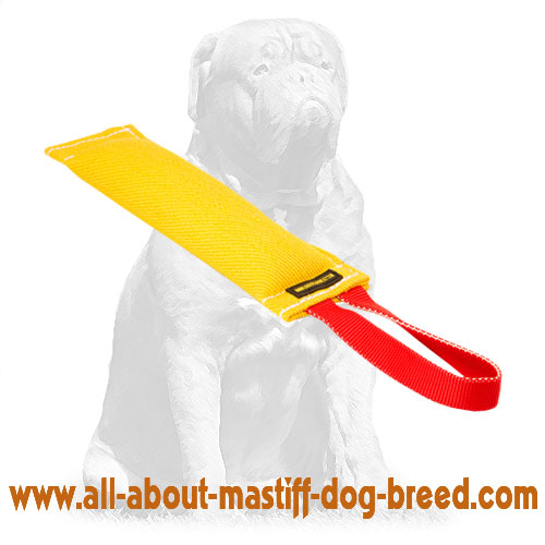 Mastiff Bite Tug French Linen for Dog Retriever Training