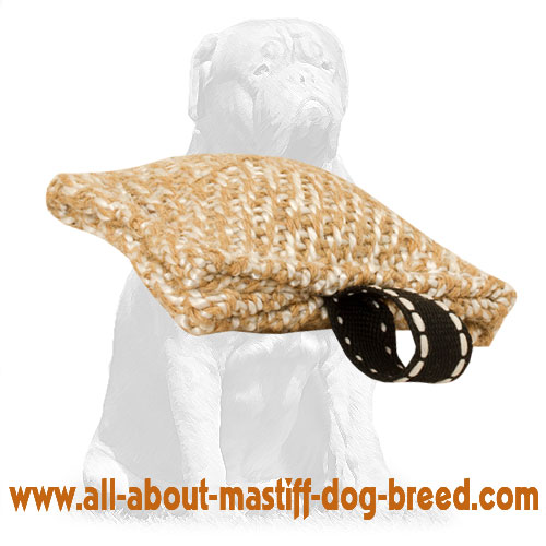Mastiff Jute Bite Tug with Small Loop