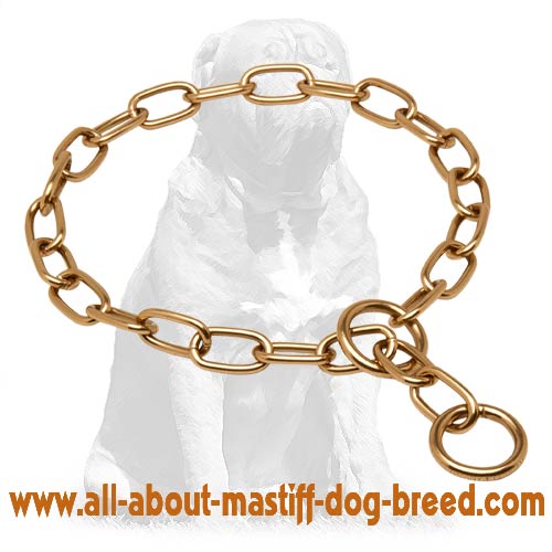 Mastiff Curogan Fur Saver Choke Collar 1/9 inch (3 mm)