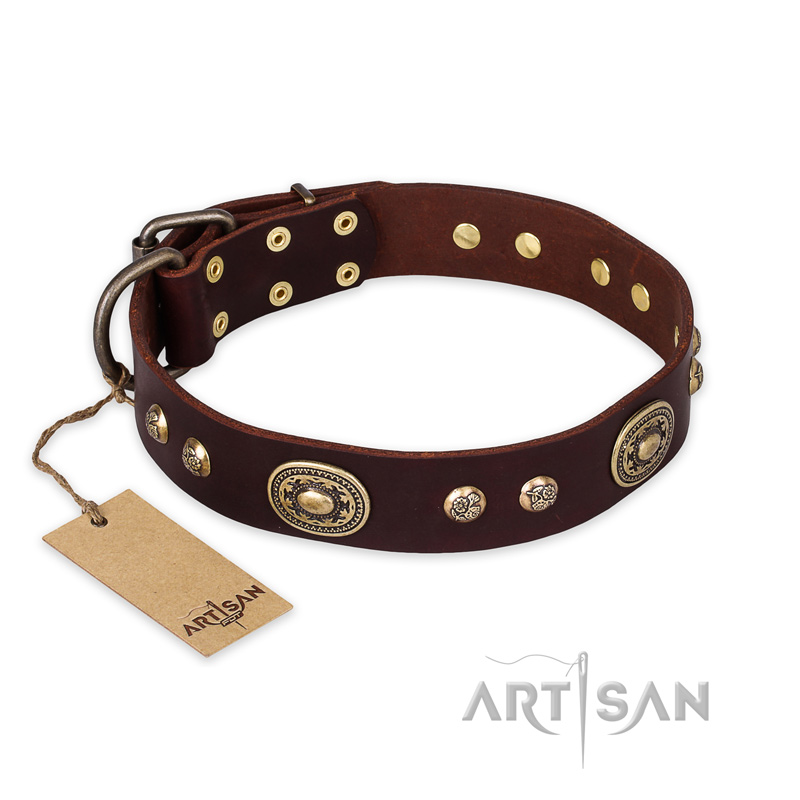 'Breath of Elegance' FDT Artisan Decorated with Plates Brown Leather Mastiff Collar