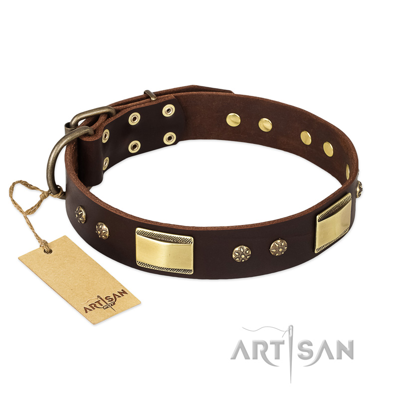 FDT Artisan 'Rich Fashion' Decorated Brown Leather Mastiff Collar with Plates and Studs - 1 1/2 inch (40 mm) wide
