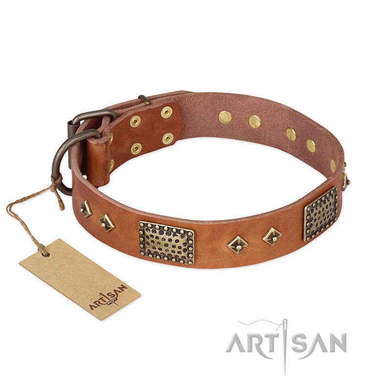 'Catchy Look' FDT Artisan Decorated Tan Leather Mastiff Collar