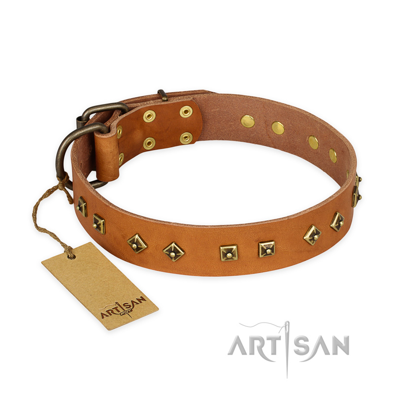 'Autumn Story' FDT Artisan Tan Leather Mastiff Collar with Old Bronze Look Studs - 1 1/2 inch (40 mm) wide