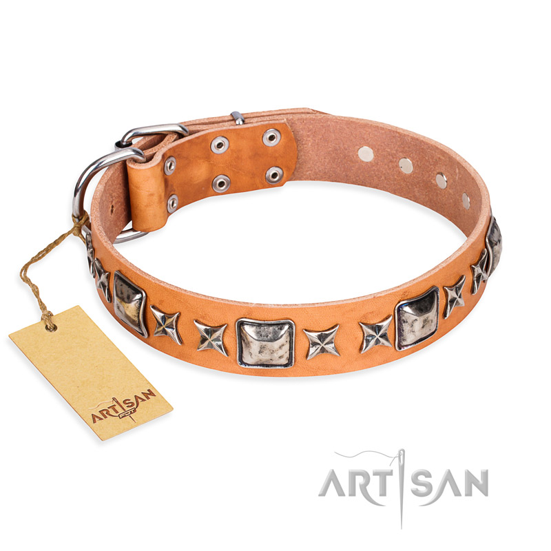 'Silver Chic' FDT Artisan Tan Leather Mastiff Collar with Silvery-plated Decorations