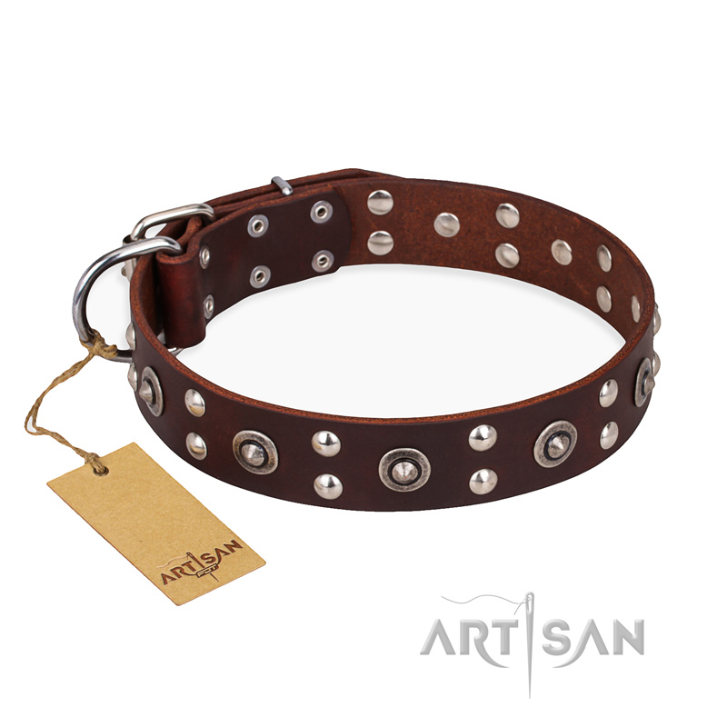 'Pirate Treasure' FDT Artisan Exciting Brown Leather Mastiff Dog Collar with Studs