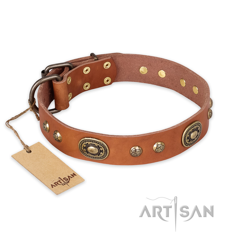 'Stunning Dress' FDT Artisan Tan Leather Mastiff Collar with Old Bronze Look Plates and Studs - 1 1/2 inch (40 mm) wide