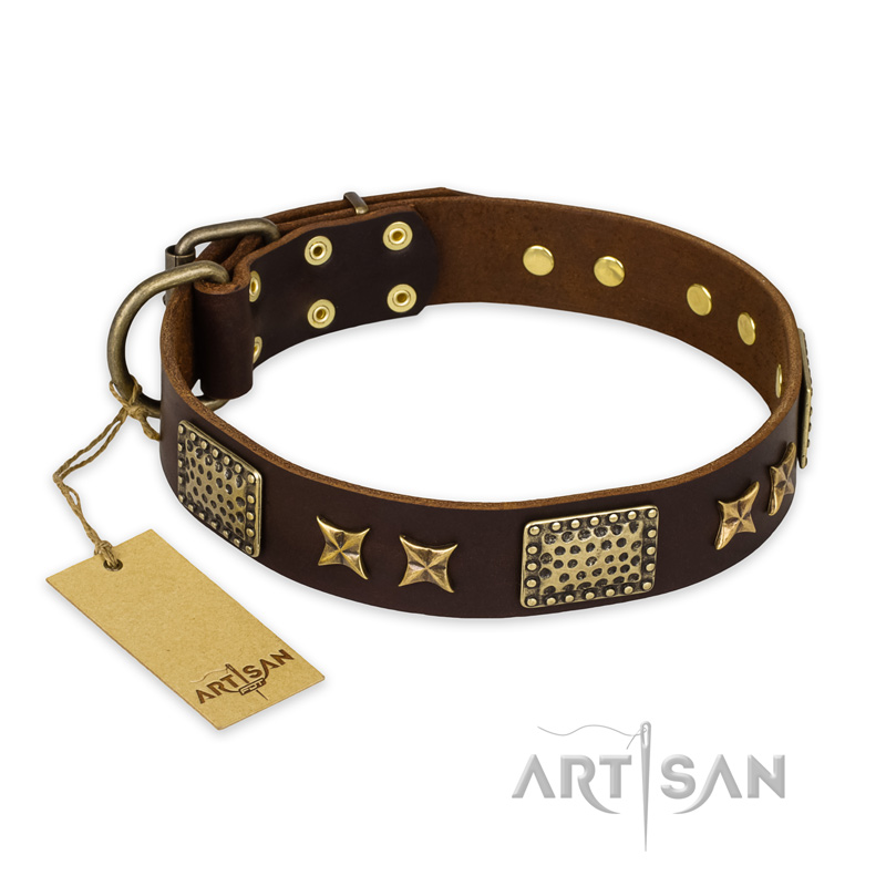 "Sparkling Bronze" FDT Artisan Brown Leather Mastiff Collar with Stars and Plates - 1 1/2 inch (40 mm) wide