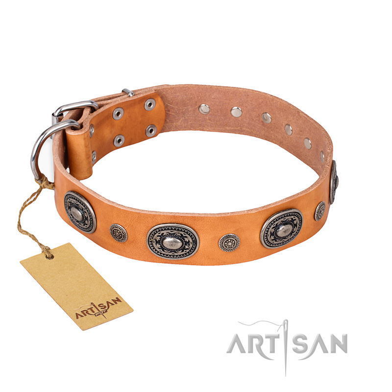 'Twinkle Twinkle' FDT Artisan Incredible Studded Tan Leather Mastiff Collar with Silver-Like Circles